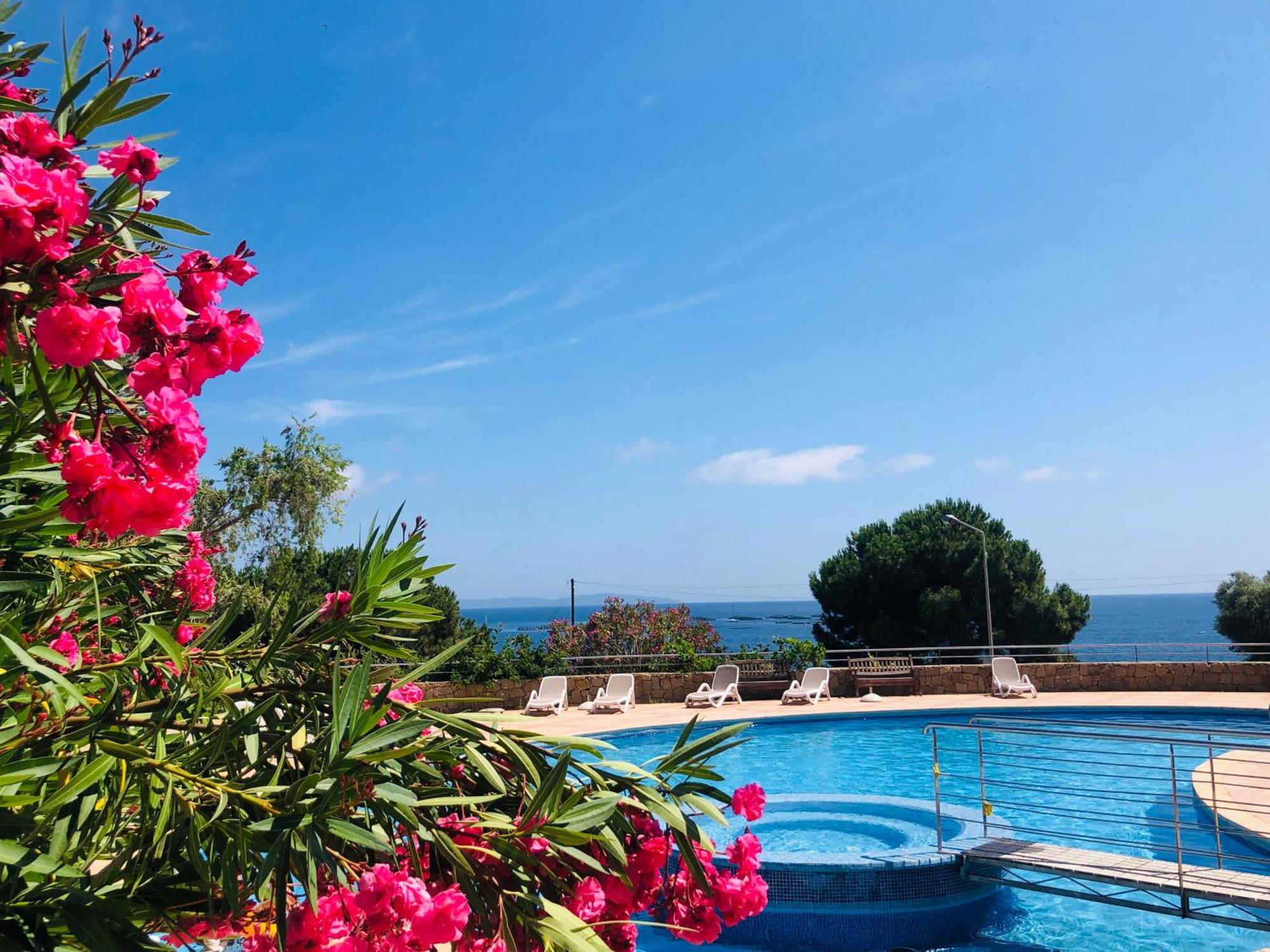 Superbe T2 Vue Mer - Piscine & Plage A 100M Ajaccio  Bagian luar foto