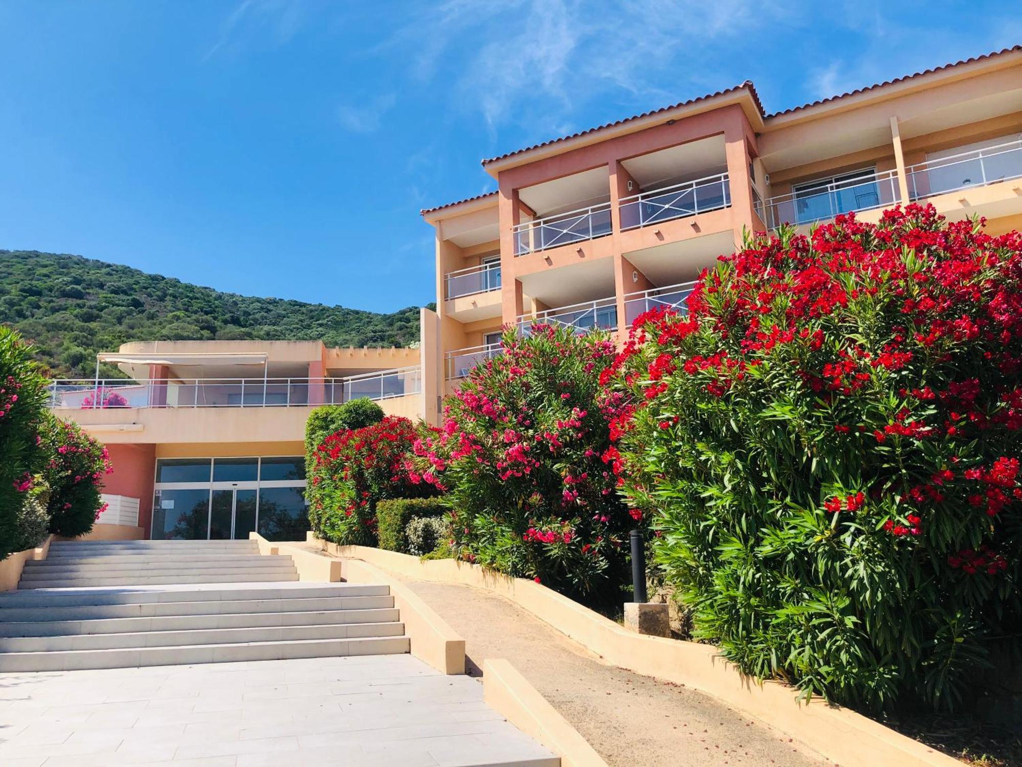 Superbe T2 Vue Mer - Piscine & Plage A 100M Ajaccio  Bagian luar foto
